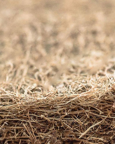 Coir Fibre